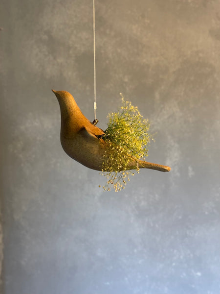 11月　営業日・メイン展示・予約販売のお知らせ